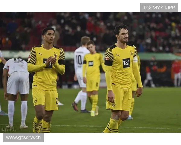 拜仁防线问题持续暴露，防守稳定性下降影响争冠形势