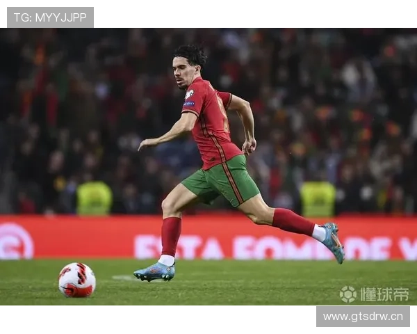 维蒂尼亚：控场角色与数据表现是否被高估？